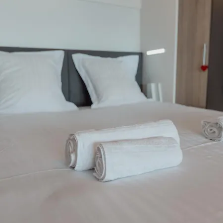 Renove Avec Vue Imprenable Sur Les Alpes * クラン