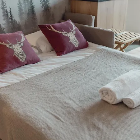 Renove Avec Vue Imprenable Sur Les Alpes * クラン